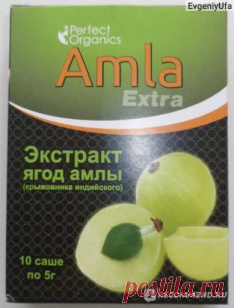 БАД Perfect Organics Amla extra - «Amla extra от перфект органикс и сабери – восстанавливает печень, защищает от гриппа, придаёт сил. Почему амла экстра Perfect Organics полезна для алкоголиков? Как эмблика лекарственная заменяет энергетический коктейль? И почему её рекомендует Аюрведа?» | Отзывы покупателей