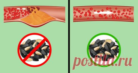Что происходит с организмом, когда вы часто едите семечки (И правда ли, что они провоцируют аппендицит) О семечках и семечковых культурах, а также о том, как легко они воспринимаются организмом — в материале «Газеты.Ru».
Семена подсолнечника, гречихи, тыквы, арбуза, дыни, кабачков, гороха, фасоли, сои, кунжута, льна, чиа, арахиса, кешью и фисташек — это все семечковые культуры.
И многие из нас не могут обойтись без них.
Все же семечки — продукт на любителя.
Есть такая еда, которую мы любим, но…