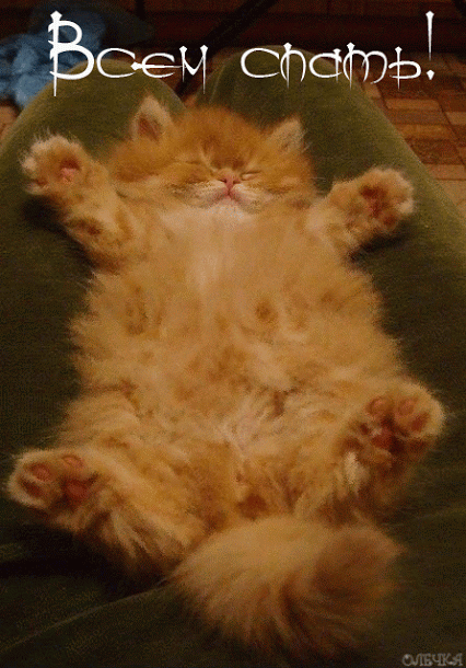 Живые фотографии – Живые картинки – Сообщество – Google+