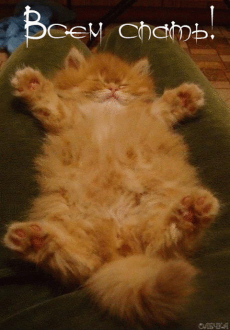 Живые фотографии – Живые картинки – Сообщество – Google+