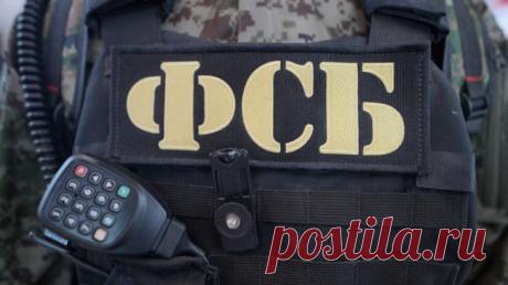 Украинские агенты перевозили FPV-дроны в Россию с бытовой техникой
