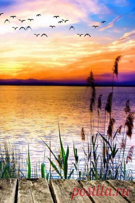 &quot;Sunset Lake&quot;, by Robert D’Costa. Love this richly-colored…   |  Pinterest • Всемирный каталог идей