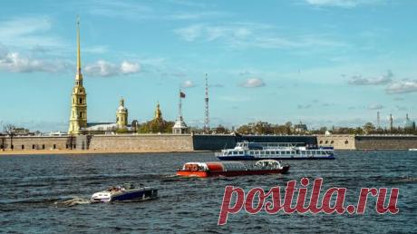 В Петербурге пьяная женщина ударила фельдшера бутылкой по голове