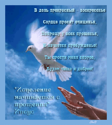 Открытка фото картинка Прощенное Воскресенье 2014 стихи поздравление рисунок Прощенное Воскресенье 2014 стихи