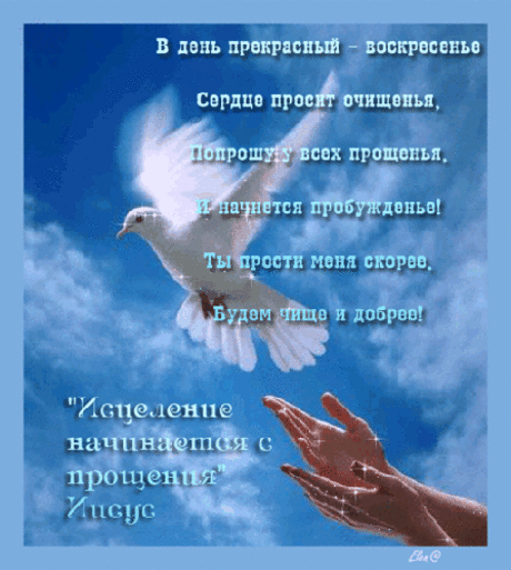 Открытка фото картинка Прощенное Воскресенье 2014 стихи поздравление рисунок Прощенное Воскресенье 2014 стихи