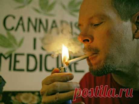 Марихуана в медицинских целях: 21 медицинское показание к ее использованию • НОВОСТИ В ФОТОГРАФИЯХ