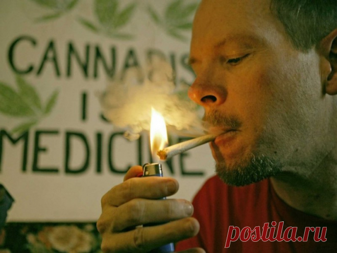 Марихуана в медицинских целях: 21 медицинское показание к ее использованию • НОВОСТИ В ФОТОГРАФИЯХ