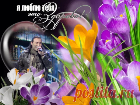 Svetlana Bolotova - Google+