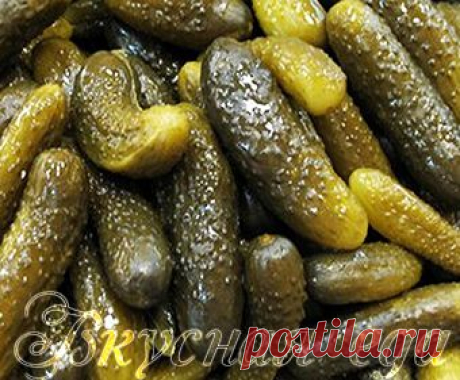 Как солить огурцы в бочке на зиму - Вкусная еда