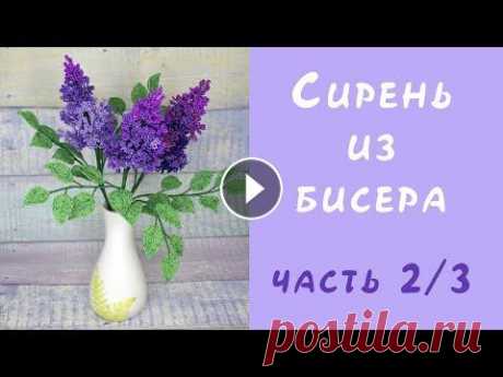 СИРЕНЬ из БИСЕРА своими руками - мастер-класс. Урок 2/3 - Сборка веточки сирени Посмотрите мастер-класс и вы научитесь плести сирень из бисера: Часть 1: Закажите материалы для композиции: КУПОН НА СКИДКУ 5% ДЛЯ НАШИХ ПОДПИСЧИКОВ: ...