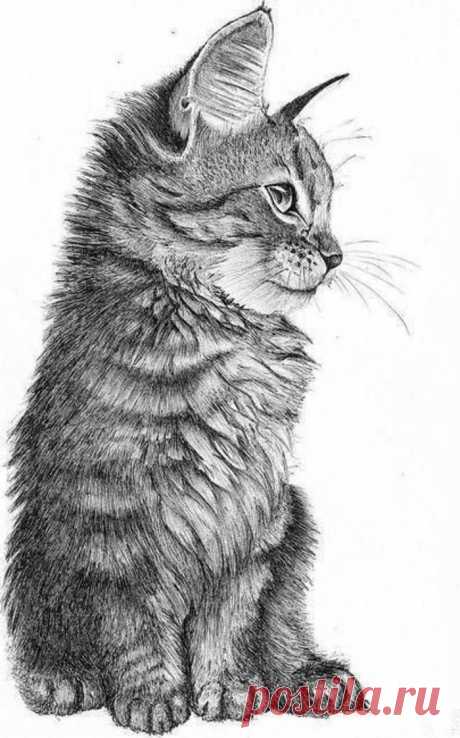 Zeichnen lernen mit Bleistift – selbst Kunst schaffen - Archzine.net