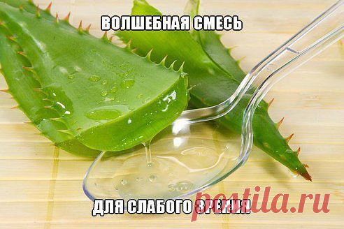 Это - рецепт моей мамы. У нее со зрением были большие проблемы. Когда она лечилась в одесской клинике глазных заболеваний в 60-ч годах, ей повезло наблюдаться у академика Филатова. Переписав с информационной доски его замечательный рецепт для тех, кто хочет укрепить зрение, она потом пользовалась постоянно и с большим успехом! Подробнее: http://www.odnoklassniki.ru/group52115936641188/topic/62743224464804
•••