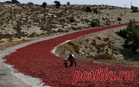 Возле Одессы на турецком судне произошел бунт - Новости Событий - Новости Mail.Ru