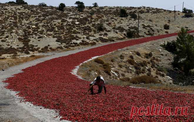 Возле Одессы на турецком судне произошел бунт - Новости Событий - Новости Mail.Ru