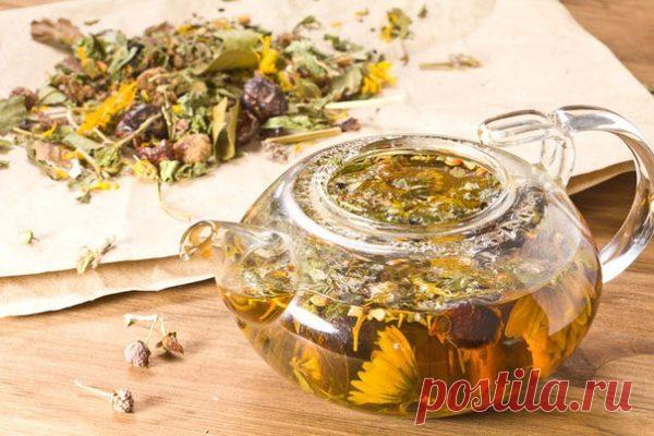 Выводим токсины и шлаки из организма домашними способами