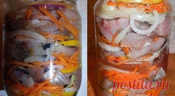 Селёдка по-голландски - вкусно нереально