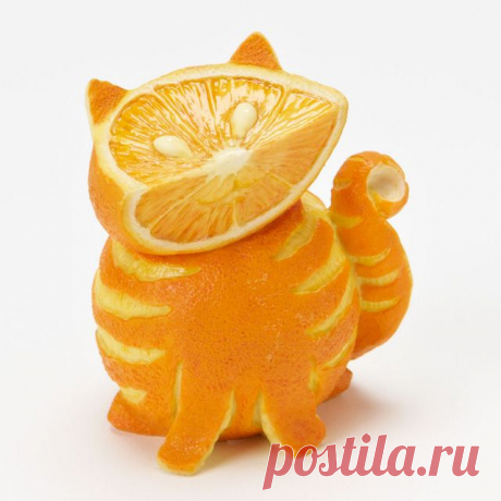 Today is Caturday — Orange face
