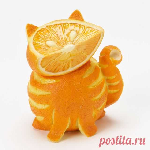 Today is Caturday — Orange face