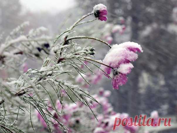 Чудесной субботы вам, Друзья, хороших выходных и отличного настроения!!!❤😘