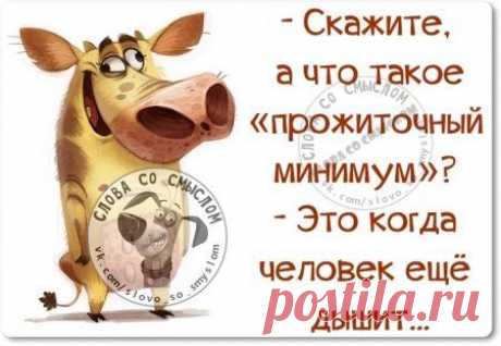 Пост метких фраз;)))