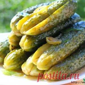 Огурчики с необычным вкусом 