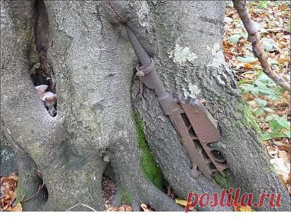 Память о Войне