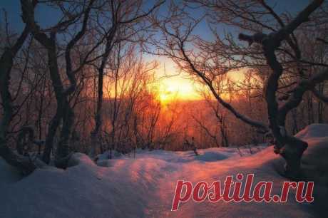 Кольский полуостров, 2012 год.(Кольский полуостров, Россия) - Фото с планеты Земля