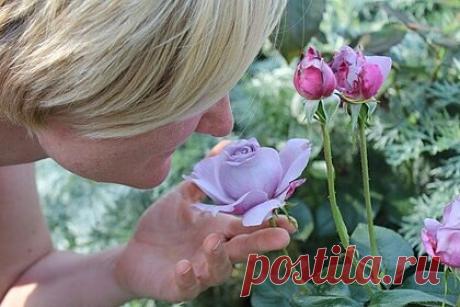 Российский врач рассказала о причинах потери обоняния при COVID-19. Российский врач и доцент кафедры оториноларингологии Уральского государственного медицинского университета Ксения Карташова рассказала, почему заболевшие COVID-19 теряют обоняние. По ее словам, это происходит из-за поражения нейронов или изменений в гиппокампе, части головного мозга.