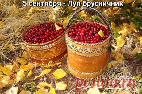 Крестьяне верили, что святой Лупп ходит по земле и своими утренними морозами способствует созреванию брусники и овса.