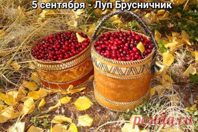 Крестьяне верили, что святой Лупп ходит по земле и своими утренними морозами способствует созреванию брусники и овса.