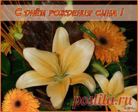 Открытки, картинки «С Днём Рождения сына!» родителям. 60 штук | Спорт Красота Отношения | Спорт Красота Отношения