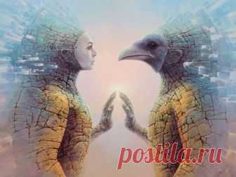 Tomasz Alen Kopera - Главная