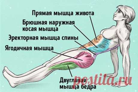 Всего одно упражнение, чтобы сжечь жир и исправить осанку | Диеты со всего света