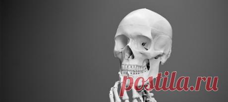 Ни кислота болот, ни вулканическая лава не способны полностью уничтожить человеческое тело. Оставшиеся крупицы костей и кусочки мягких тканей для антропологов и археологов – кладезь информации о человеке.