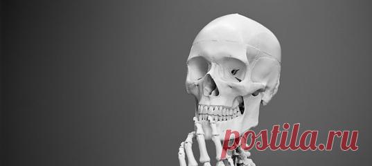 Ни кислота болот, ни вулканическая лава не способны полностью уничтожить человеческое тело. Оставшиеся крупицы костей и кусочки мягких тканей для антропологов и археологов – кладезь информации о человеке.