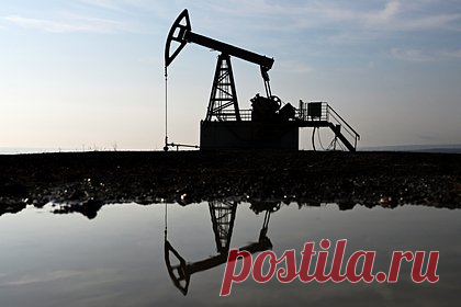Стало известно о переговорах индийских компаний о закупках нефти из России