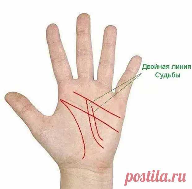 5 знаков на руках, указывающих на то, что вы - баловень судьбы - Сонники, гороскопы, гадания - медиаплатформа МирТесен