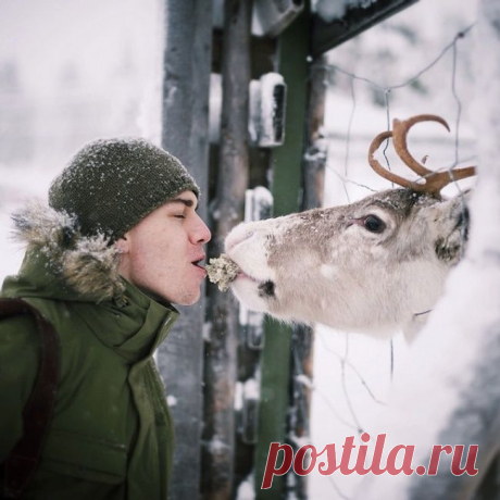 20 снимков фотографа, с которым дружат животные