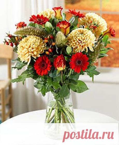 Народные средства от запора