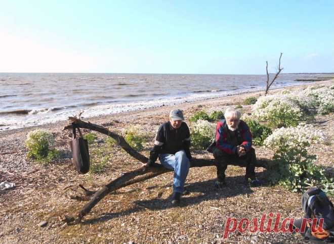 На волне туристической... к Природе - 5 Мая 2016 - Персональный сайт