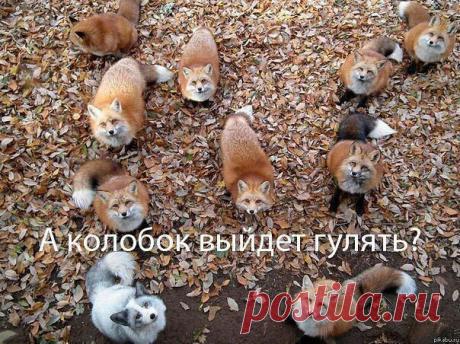 (58) Photos taken at Пансионат &quot;Солнечная Поляна&quot; — поиск на Facebook