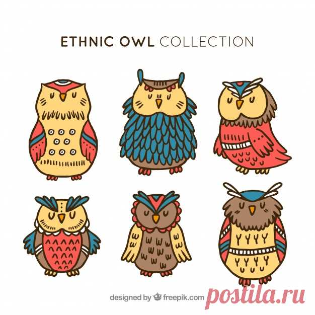 Этническая сова из шести Более миллиона свободных векторов, PSD, фотографии и бесплатные иконки. Эксклюзивные халявы и все графические ресурсы, которые необходимые для ваших проектов