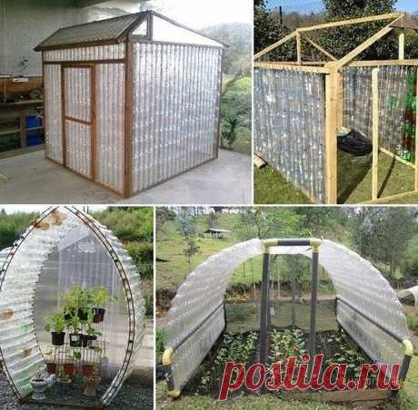 Парники из пластиковых бутылок: идеи — DIYIdeas