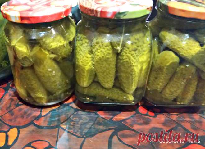Маринованные огурцы:по рецепту проверенному годами .Квашенные огурцы для солянок и салата. - Вкусно с Любовью - медиаплатформа МирТесен