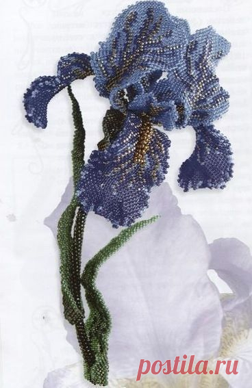 (330) beaded iris | Blooms ✿ Iris Bias | Ирисы и Синий