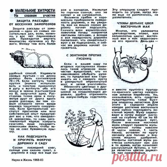 Маленькие хитрости на садовом участке