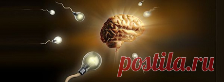 Новое в исследовании сна. Дневной сон делает вас умнее. | pokolenie-x.com