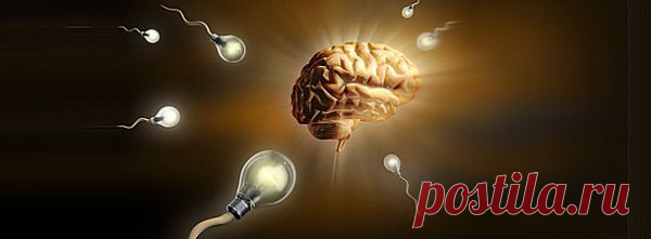 Новое в исследовании сна. Дневной сон делает вас умнее. | pokolenie-x.com