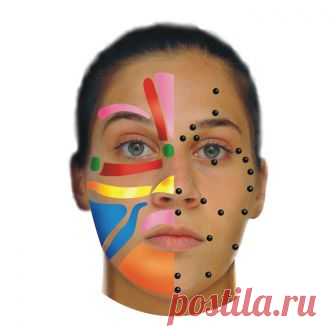 Коруги: уникальная японская техника правки лица
Коруги можно назвать нехирургической пластикой лица: массаж воздействует на кости черепа, заставляя их сдвигаться в нужном направлении. В результате:
    улучшается микроциркуляция,
    выводятся шлаки,
    стимулируются кровеносные сосуды, лимфоузлы и мышцы лица.