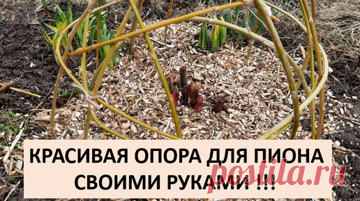 Красивая опора для пиона своими руками ! | Мария Смольникова | Дзен